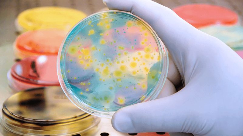 细胞培养代理解析：揭秘生物制药中的关键环节**