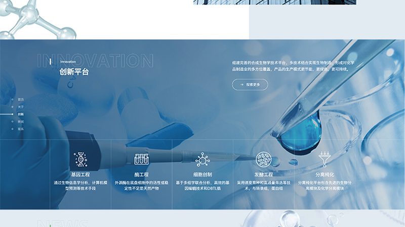 重组抗体表达参数设置的优化策略**