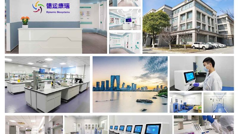 酶促反应步骤全解析：从原理到实践