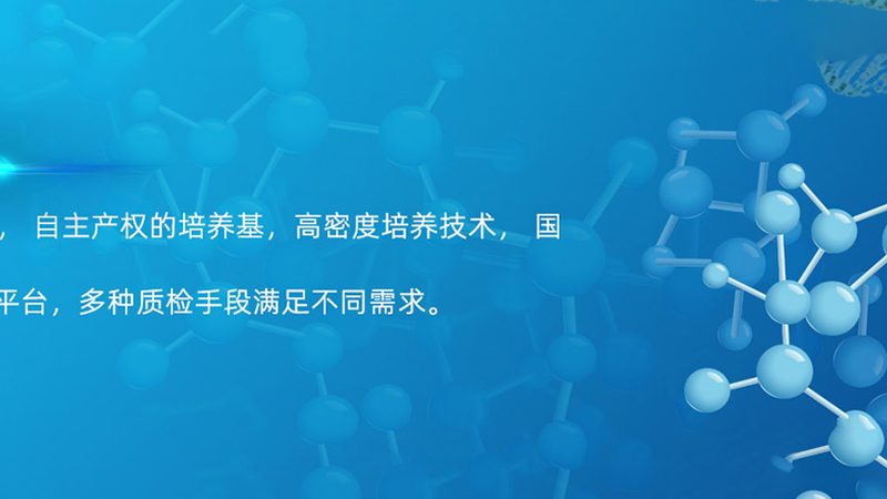 干细胞培养基与普通培养基：关键差异解析