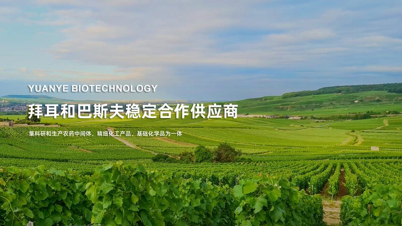 离心管使用前的关键准备步骤