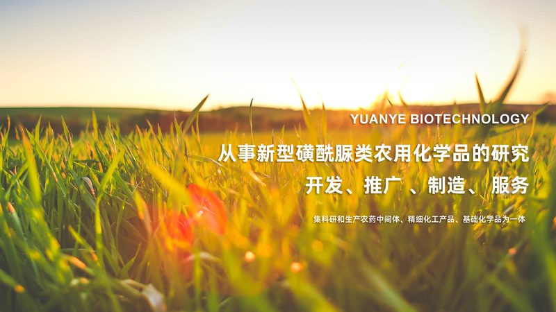 揭秘CRO平台价格对比：优缺点解析与选购要点