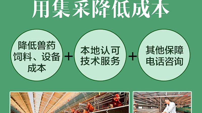 细胞培养污染处理：守护生物科研的纯净防线