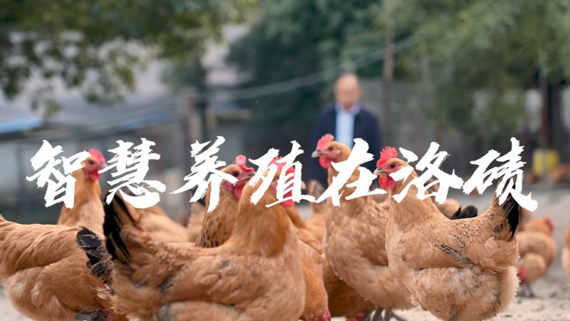 医疗健康项目尽调：流程解析与关键要点